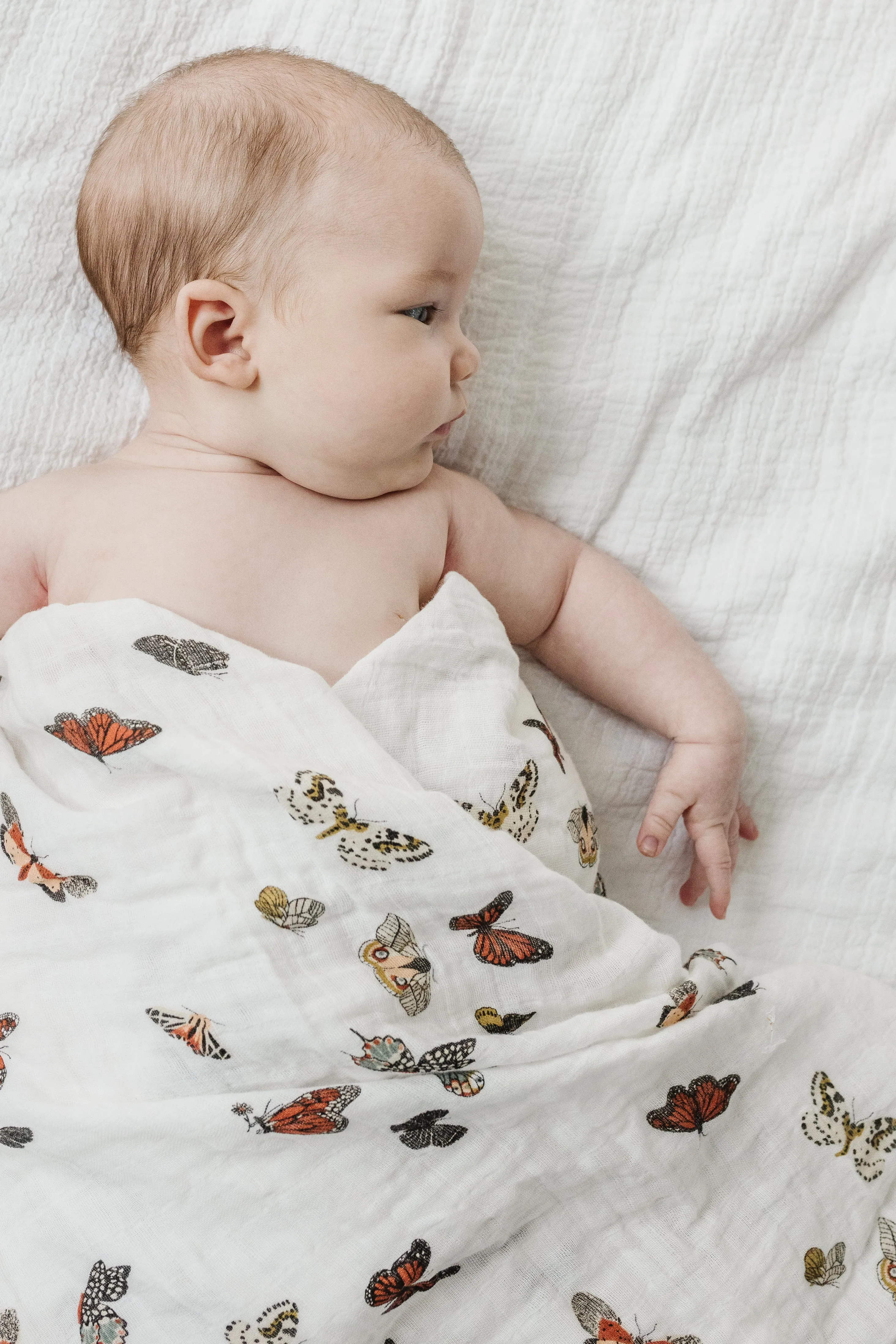 Butterfly Migration Swaddle