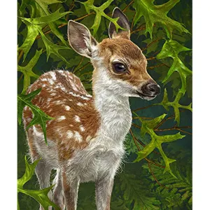 Dawhud Direct Forest Fawn Fleece Blanket for Bed 50x60 Cute Fleece Throw Blanket