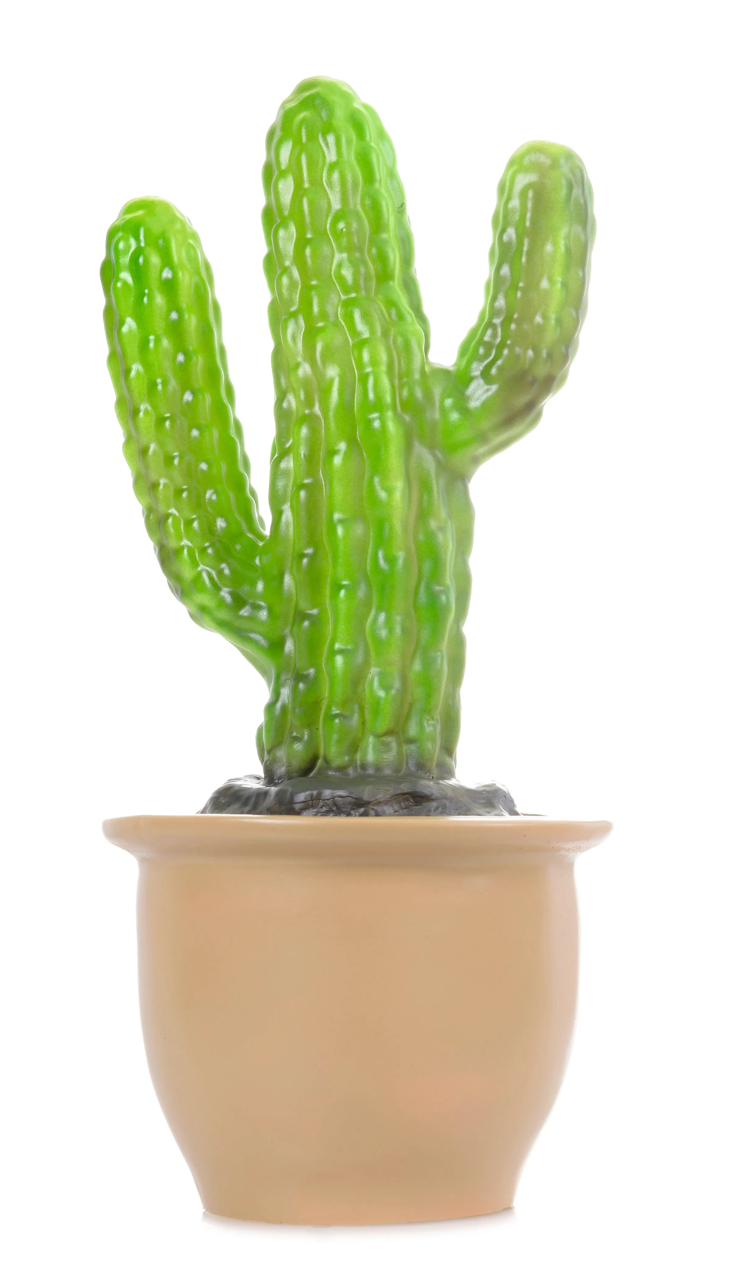 Lamp - Finger Cactus In Pot