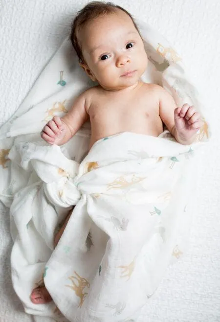 Muslin Swaddle - Little Fawn