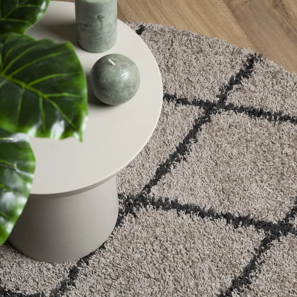 vidaXL Shaggy Rug PAMPLONA - High Pile, Modern Beige & Anthracite, Ø 240 cm – Soft, Cozy & Durable